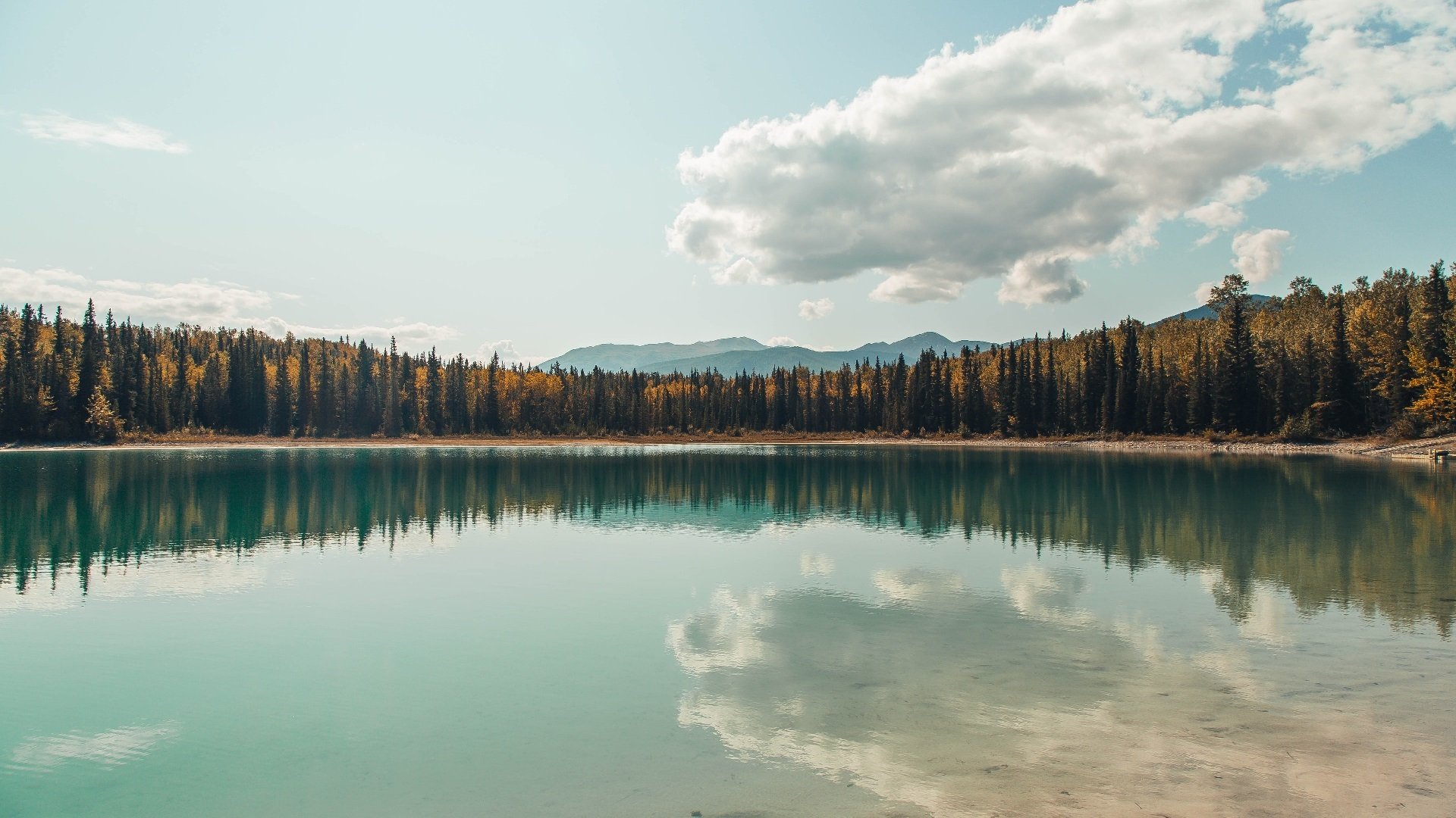 LOL全球总决赛等待官宣,粉丝期待已久,lol全球总决赛什么时候