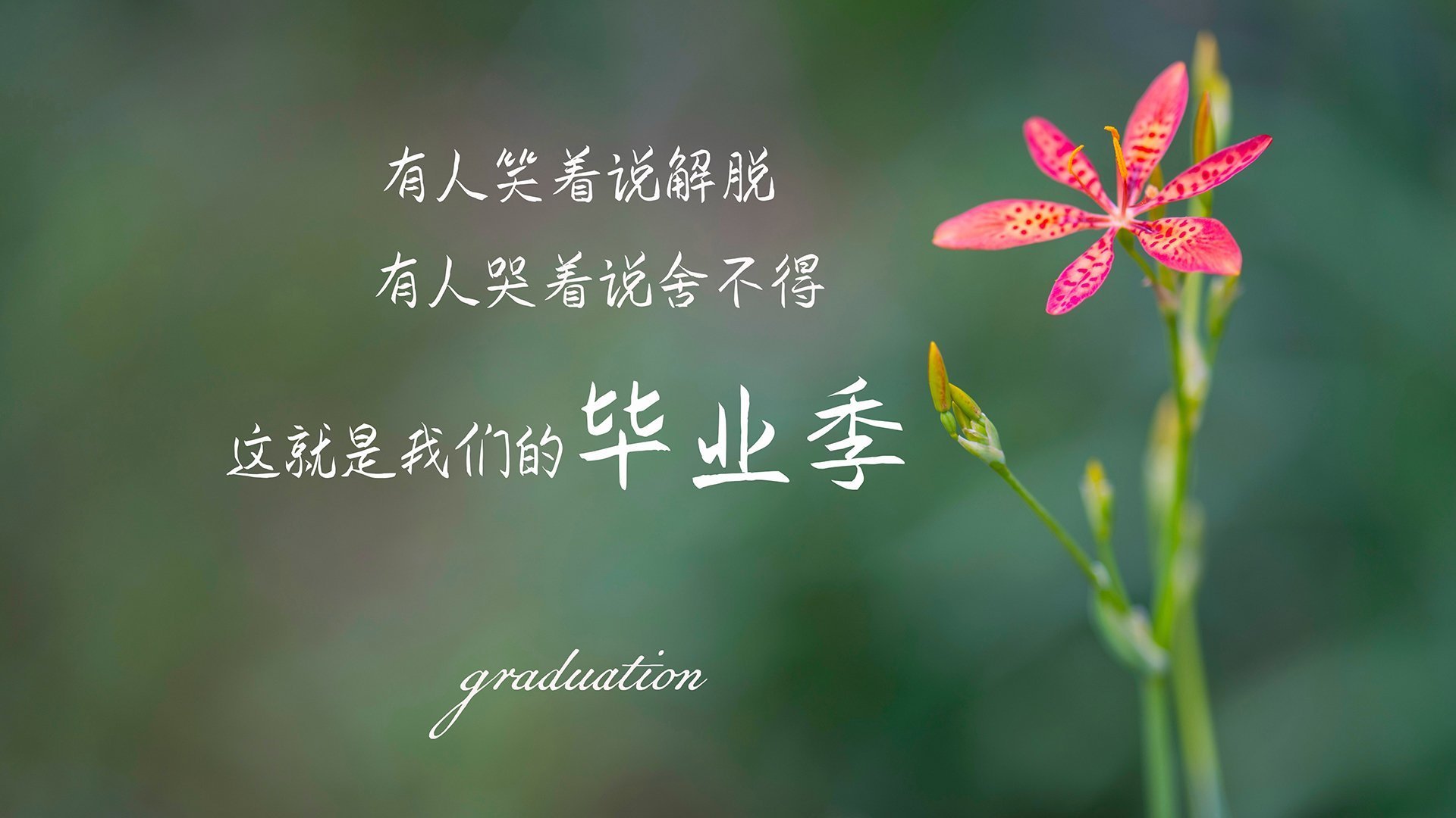 C罗再创历史,国家队进球突破130个,c罗国家队进球数量统计