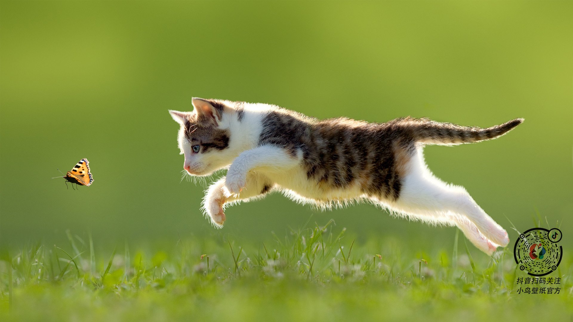 爱游戏体育官方网站-_世界青年赛：未来冠军的摇篮，期待无限_，世界青年锦标赛年龄限制