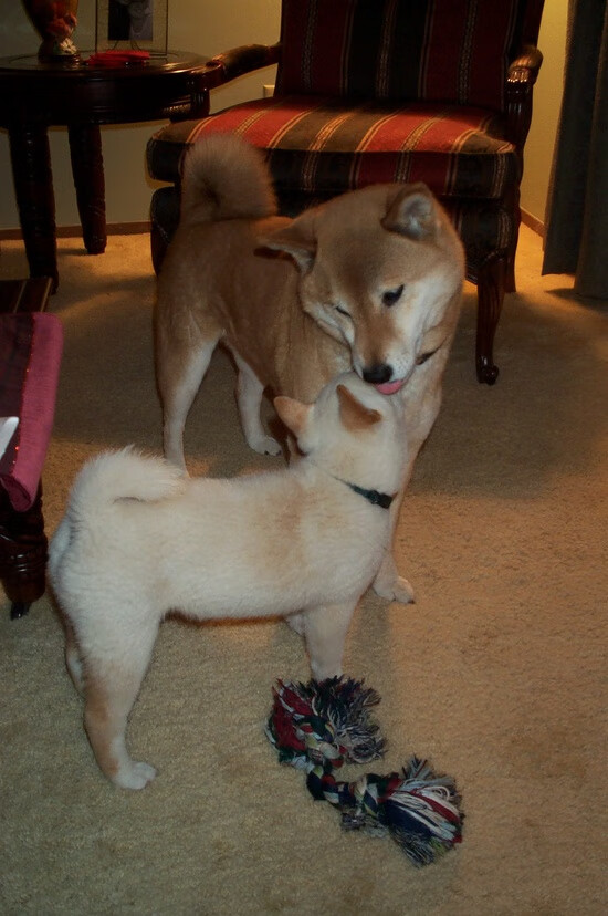 《【未来展望】2025年电竞行业或迎来新一轮爆发》,未来20年电竞发展趋势