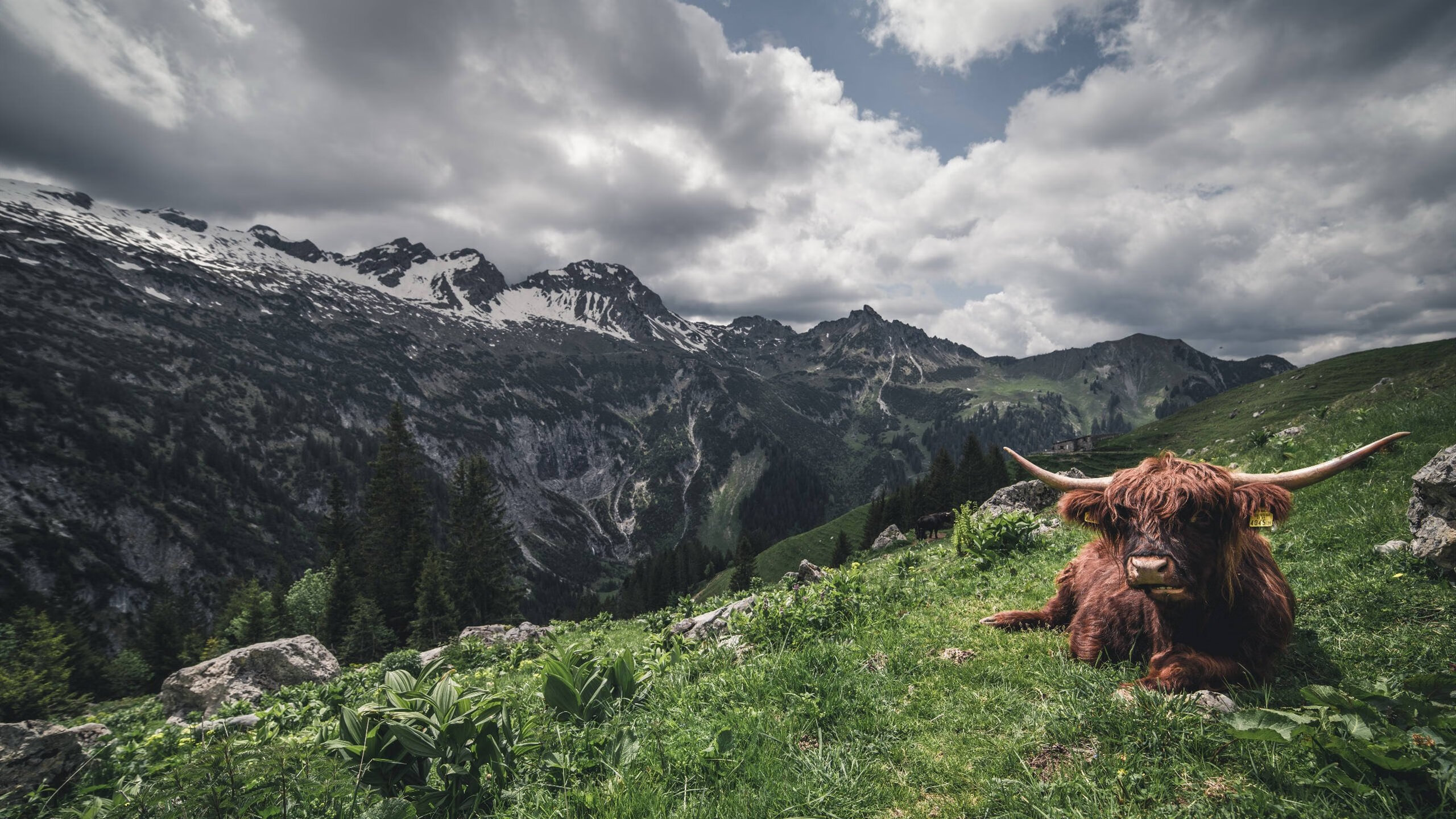 《明星战队盘点：谁才是真正的王者？》，明星战队英文