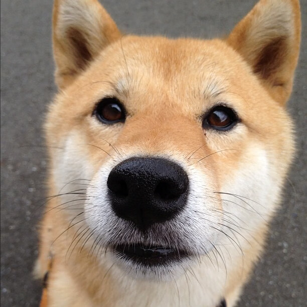 【比赛录像分析】详细拆解逆转局和制胜战术，体育比赛逆转