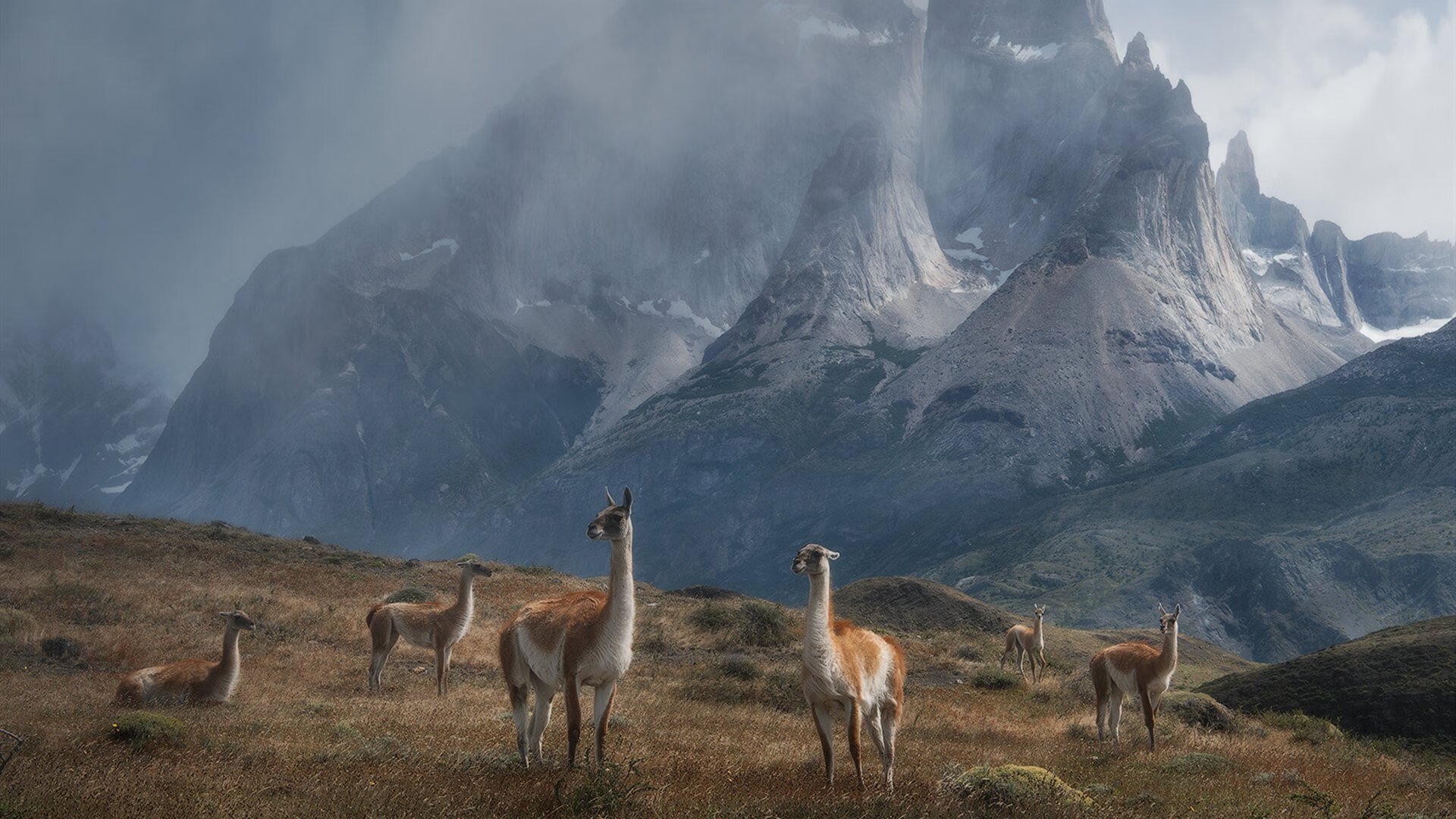 史上最悬念的决赛现场，你绝不能错过！，毫无悬念的比赛
