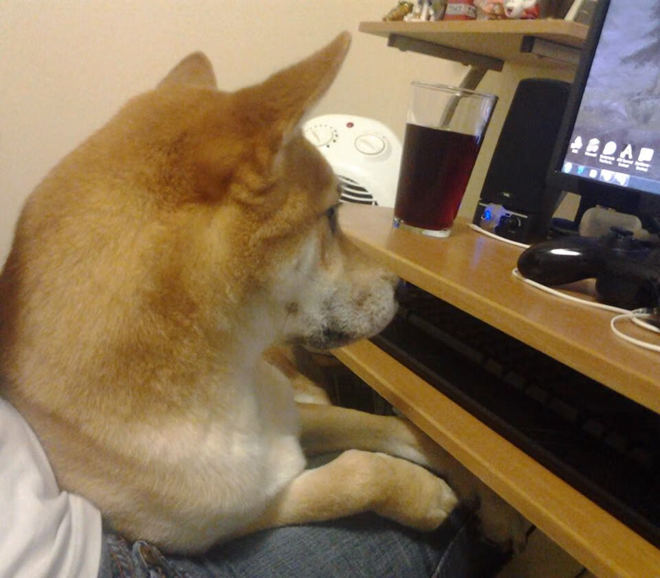 爱游戏体育（AYX）官方APP下载-哈里·凯恩转会拜仁，挑战德甲，哈里凯恩进球集锦