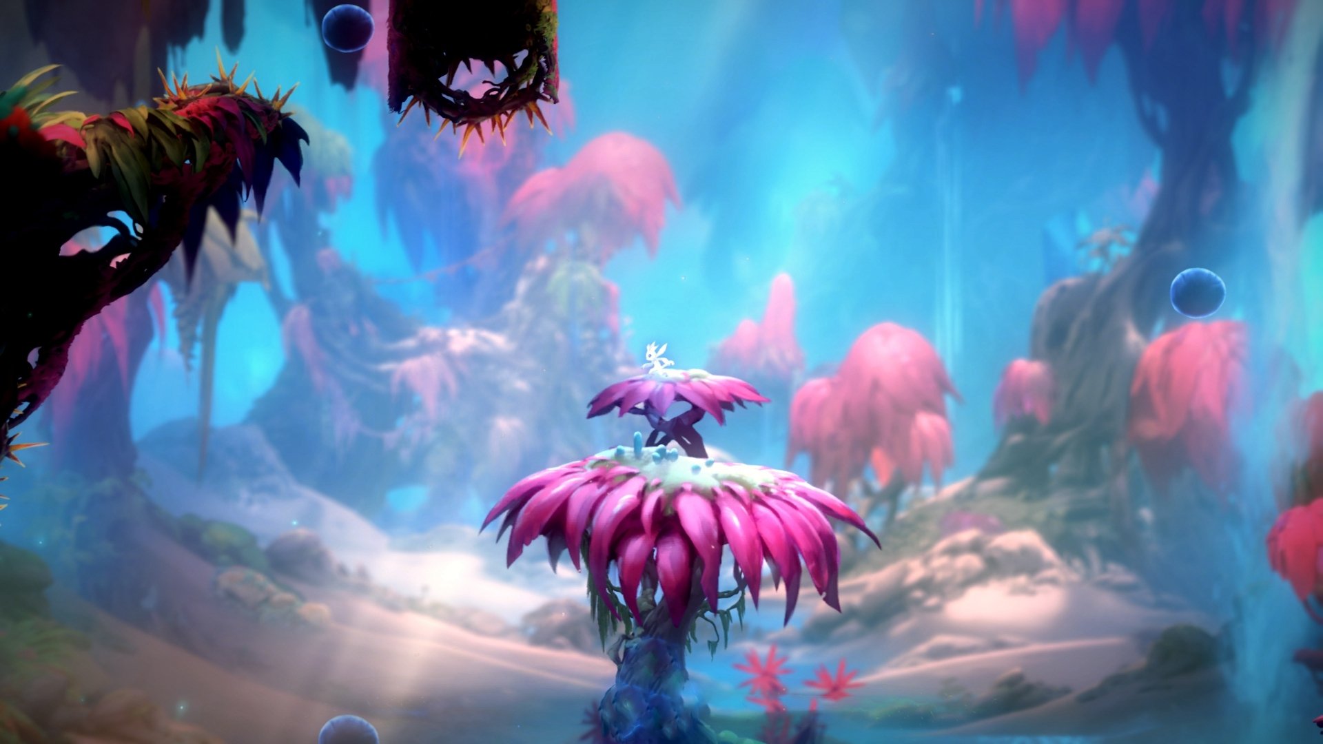 AYX SPORTS-科比：用坚韧不拔的意志成就“伟大”，永不落幕！，科比坚强