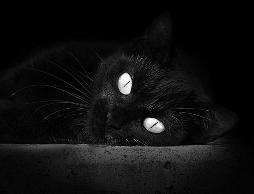 爱游戏app-勇士队攻防两端表现均衡，勇士队防守效率