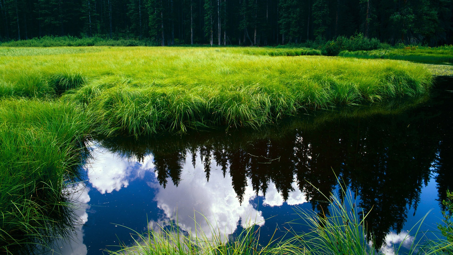 -南锡追赶索肖，争取取得胜利改写战绩，南锡对索肖的比分预测