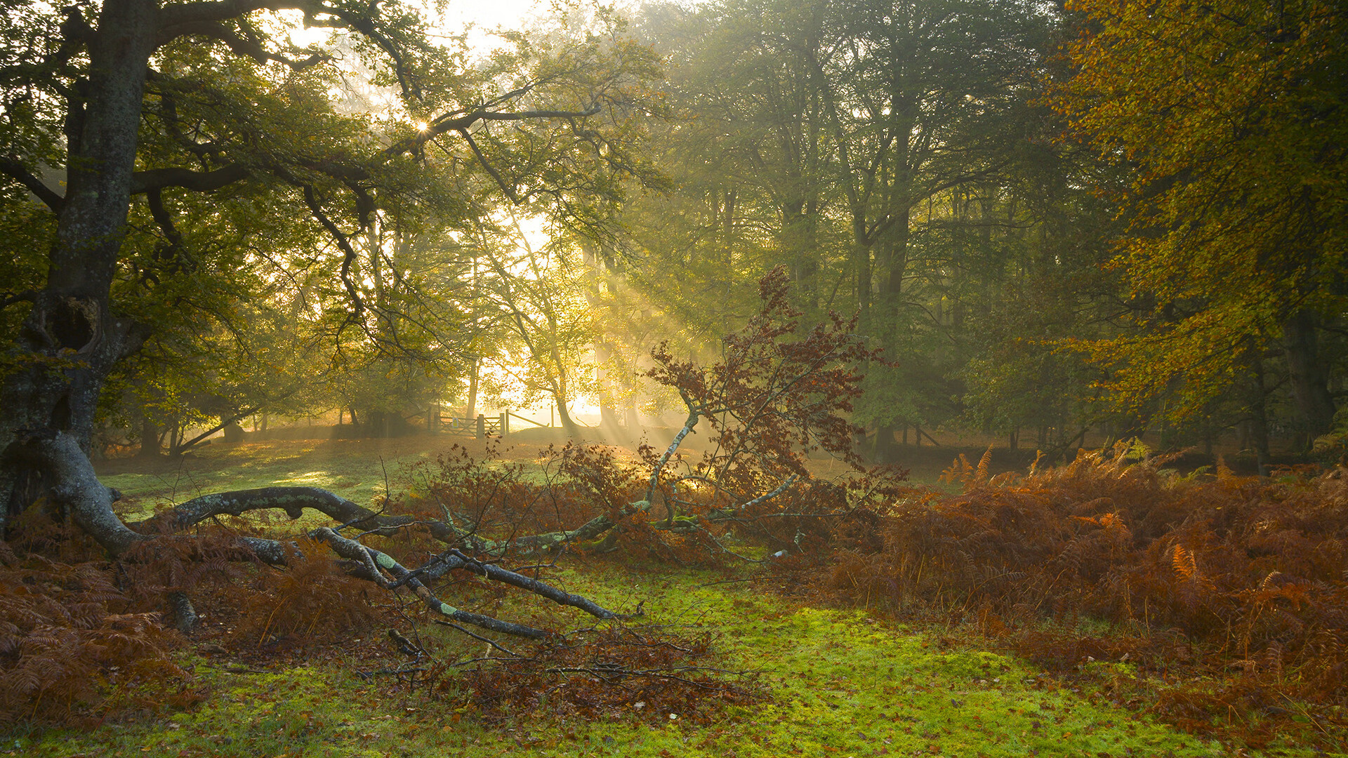 爱游戏体育官方网站-巴黎圣日耳曼击败圣埃蒂安，继续领跑积分榜，巴黎圣日耳曼有机会夺冠吗