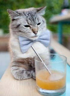 -战队备战策略大揭秘，战队战备中心的竞技值增加需要多次购买吗