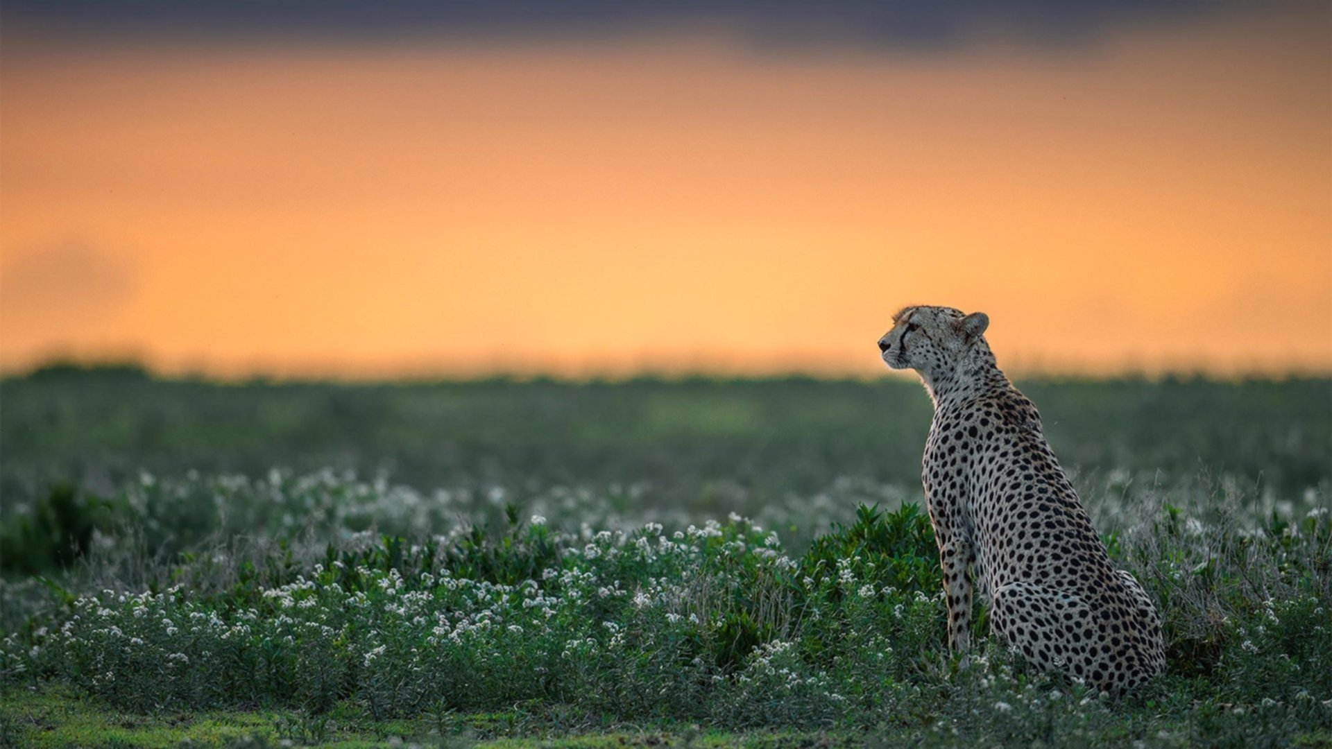 爱游戏官方网站-是否应设立青年教练执教表现激励政策，青年队教练