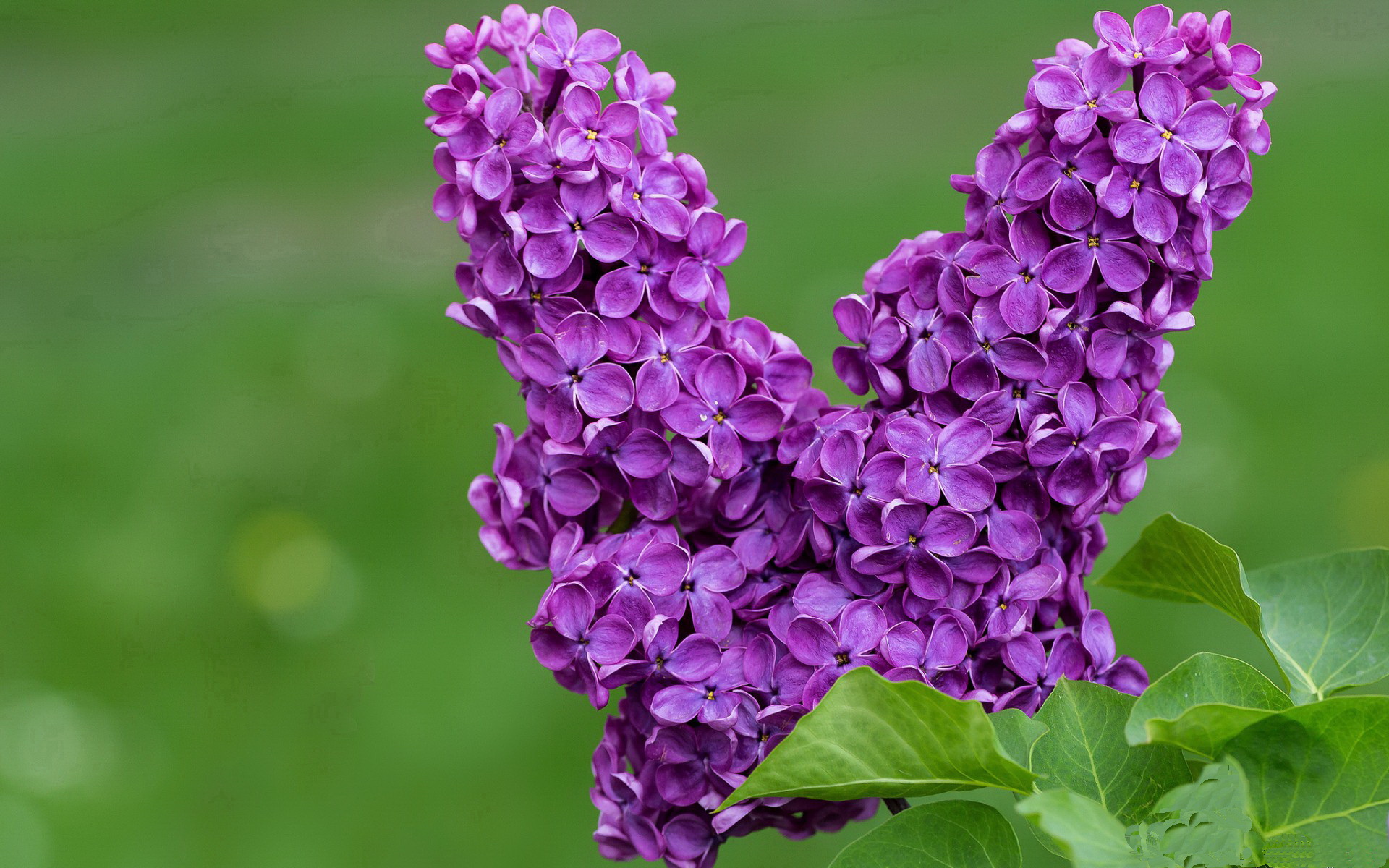 AYX GAMING-韩国基础教育体系获国际认可，韩国基础教育的教学改革