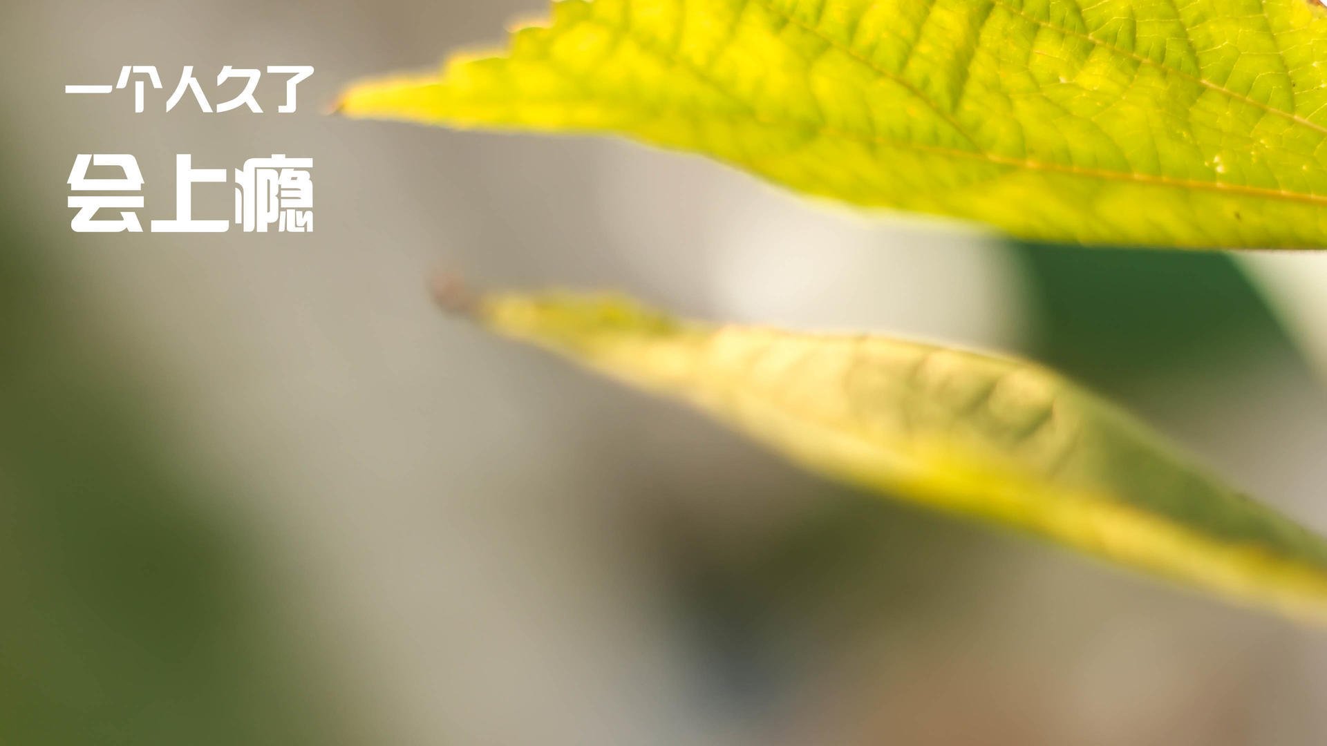 爱游戏体育APP下载-田径比赛纪录频频刷新，田径比赛时间怎么记录