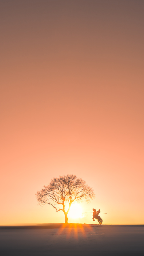 世界杯精彩集锦：精彩瞬间一网打尽！，世界杯精彩比赛