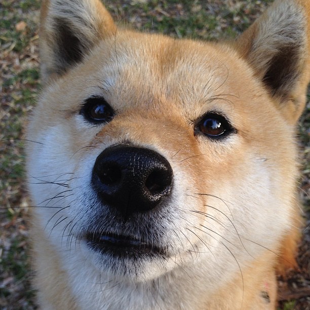 AYX体育官网-英国男子接力队用实力回应所有质疑，英国接力银牌被取消