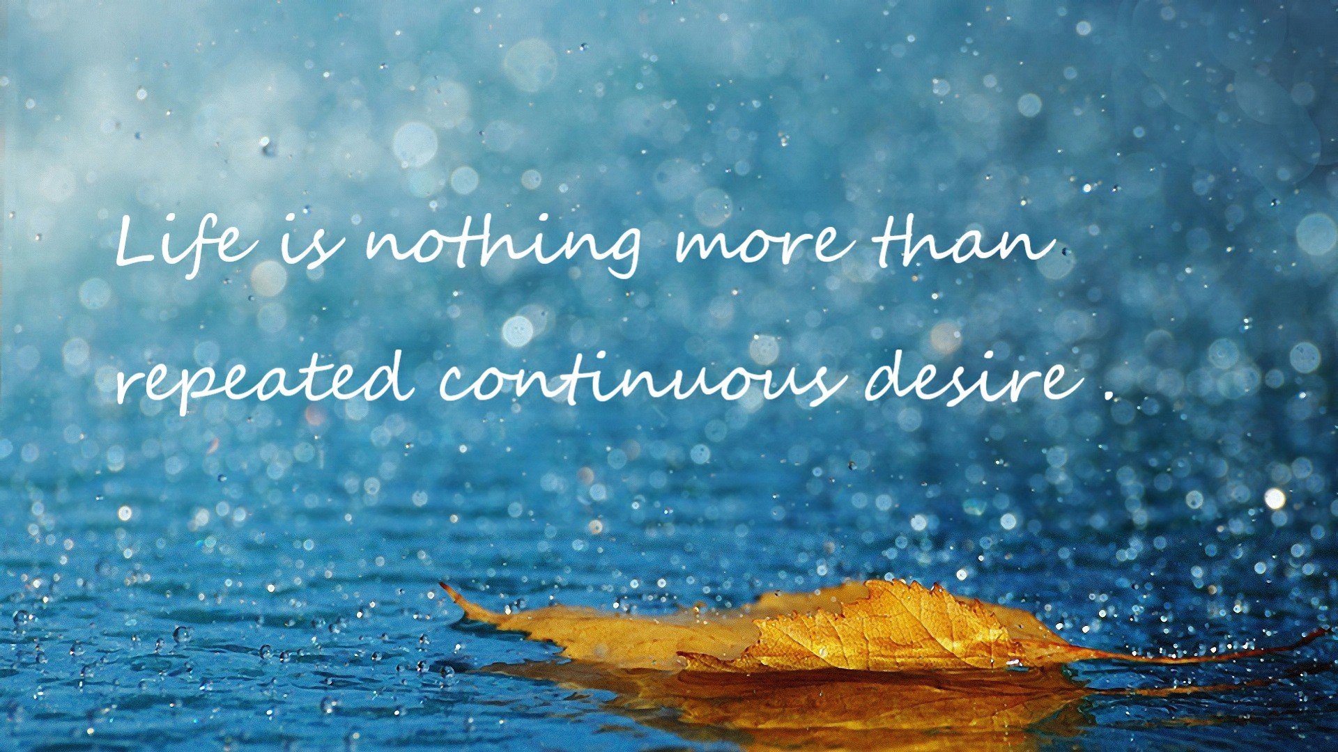 爱游戏官网-青少年篮球比赛引入专业裁判提升比赛规范化，青少年篮球选拔赛